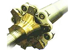 Acoplamiento El�stico Layrub